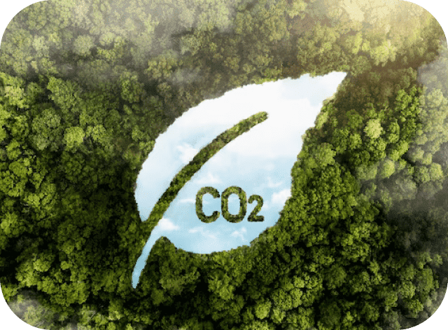 Carbon Credit & More